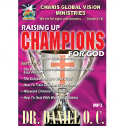 Champions 2 - web - front