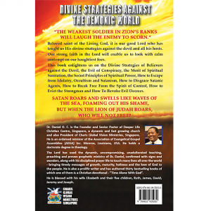 Divine Strategies - web - Back